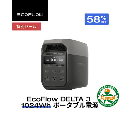 EcoFlow DELTA 2